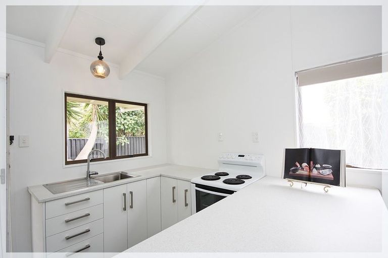 Photo of property in 133 Tiro Tiro Road, Levin, 5510