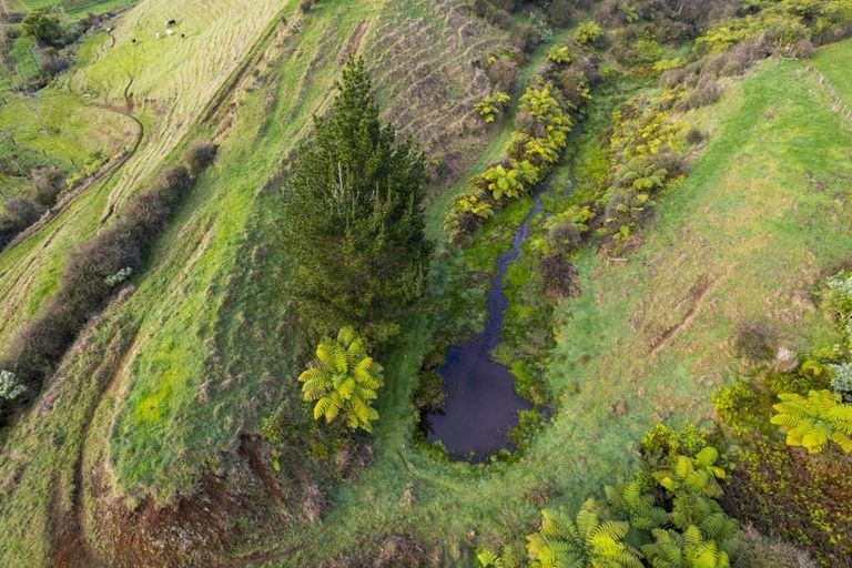 Photo of property in 378 Hursthouse Road, Tarurutangi, Inglewood, 4389