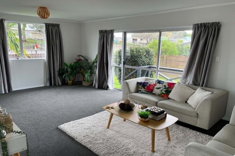 Photo of property in 137a Maungatapu Road, Maungatapu, Tauranga, 3112