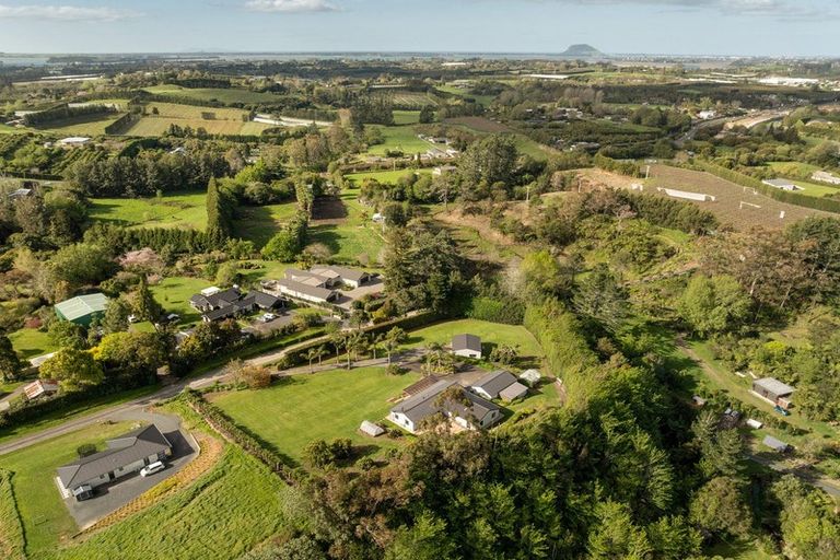Photo of property in 10 Munro Road East, Minden, Whakamarama, 3179