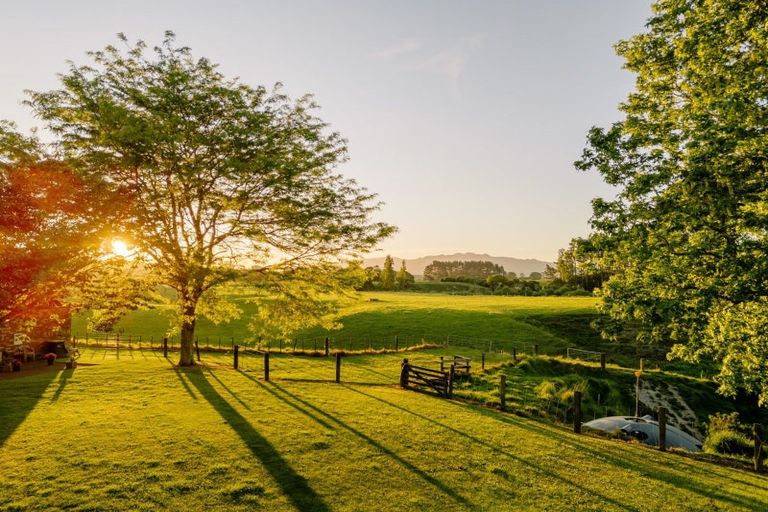 Photo of property in 248 Pokuru Road, Pokuru, Te Awamutu, 3875