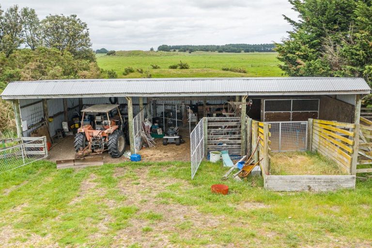 Photo of property in 334 Motuiti Road, Foxton, 4891