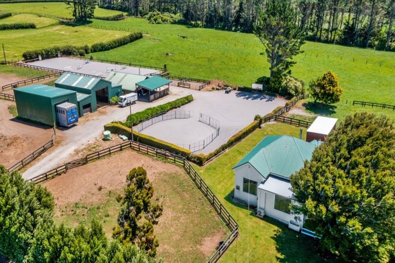 Photo of property in 1 Waingongoro Road, Cardiff, Stratford, 4391