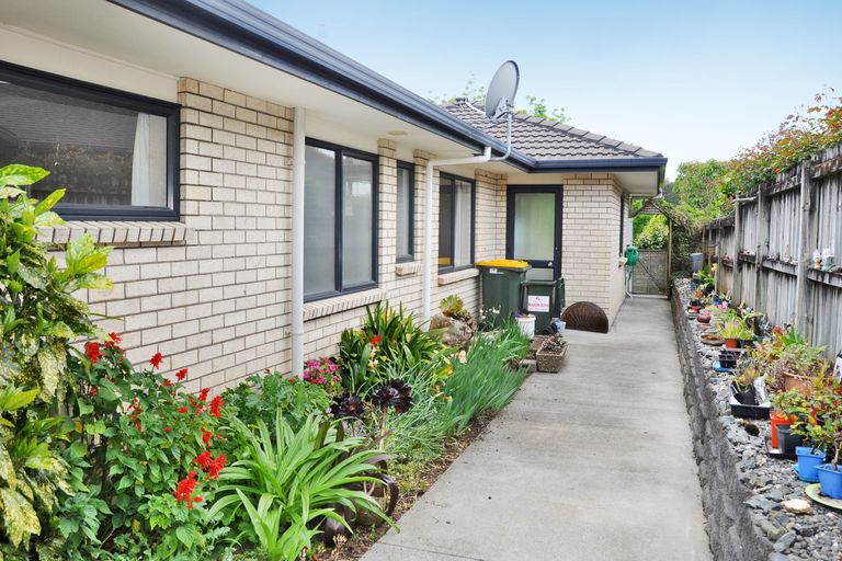 Photo of property in 19 Ashmore Crescent, Warkworth, 0910