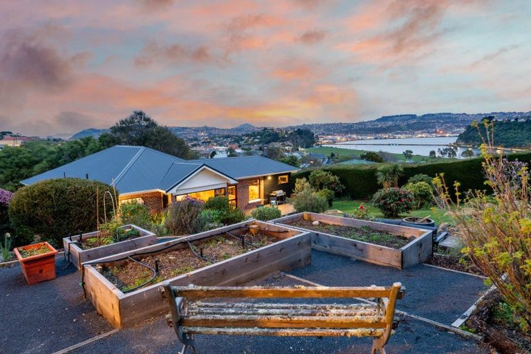 Photo of property in 43 Sunbury Street, Andersons Bay, Dunedin, 9013