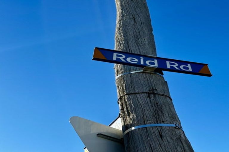 Photo of property in 55 Reid Road, South Dunedin, Dunedin, 9012