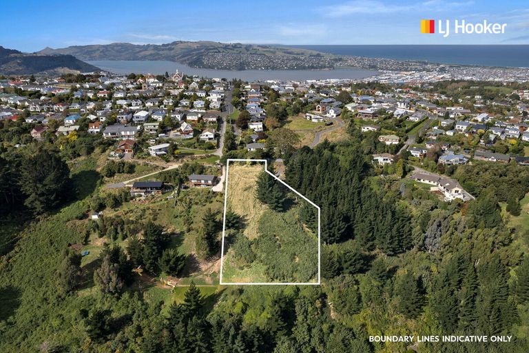 Photo of property in 12 Nursery Lane, Belleknowes, Dunedin, 9011