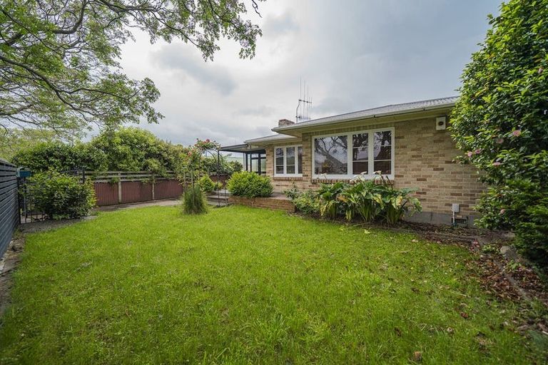 Photo of property in 351 Ruahine Street, Terrace End, Palmerston North, 4410