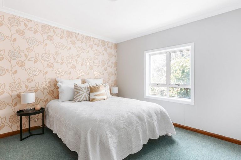 Photo of property in 48b Campbell Road, Mount Maunganui, 3116