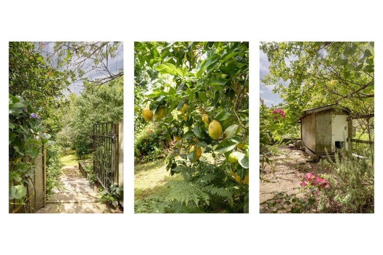 Photo of property in 20 Emmerdale Place, Ohauiti, Tauranga, 3112
