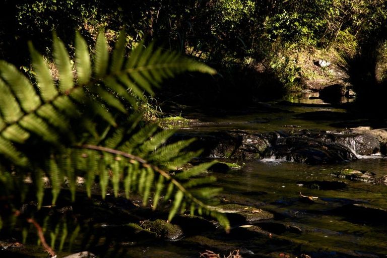 Photo of property in 47 Darwin Road, Outer Kaiti, Gisborne, 4010