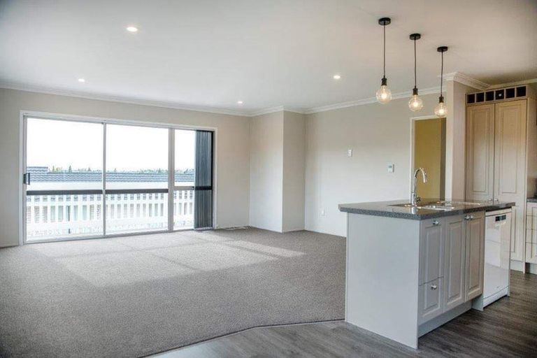 Photo of property in 115 Aberdeen Drive, Dinsdale, Hamilton, 3204