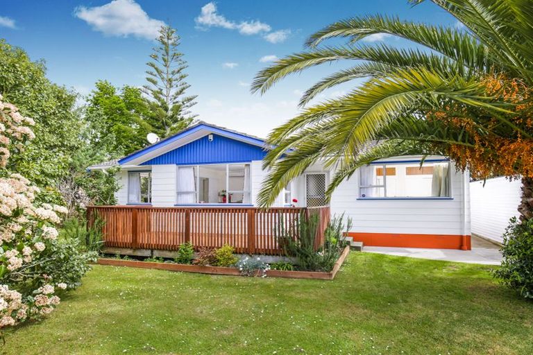 Photo of property in 16 Hinerau Street, Henderson, Auckland, 0612