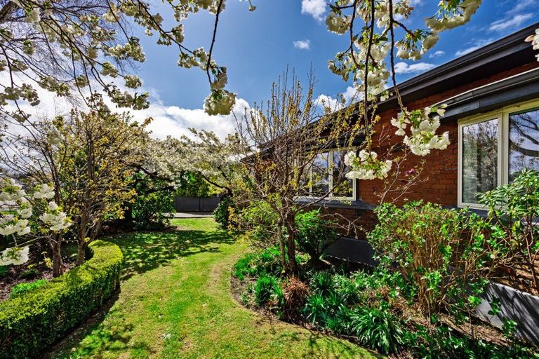 Photo of property in 58 Wellington Street, Georgetown, Invercargill, 9812