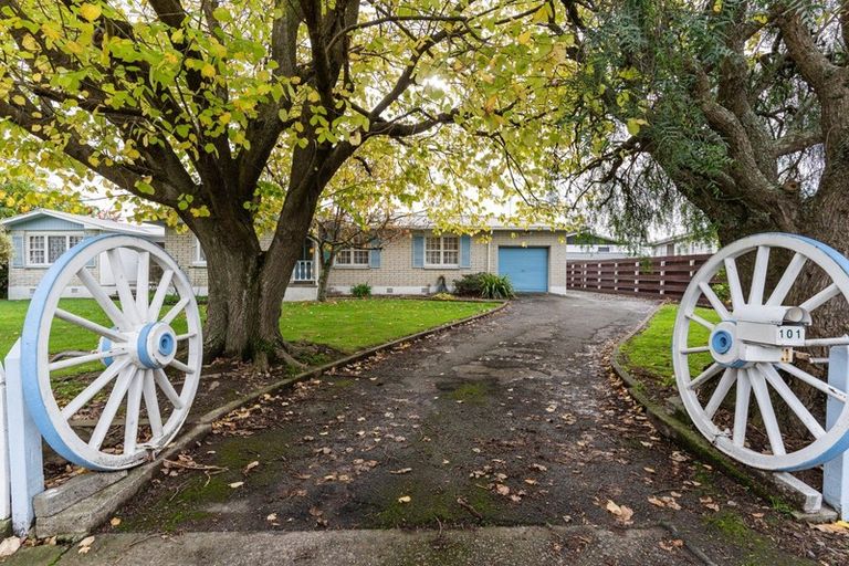 Photo of property in 101 Sherwill Street, Feilding, 4702