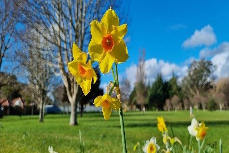 Photo of property in 1 Edwin Street, Belmont, Lower Hutt, 5010