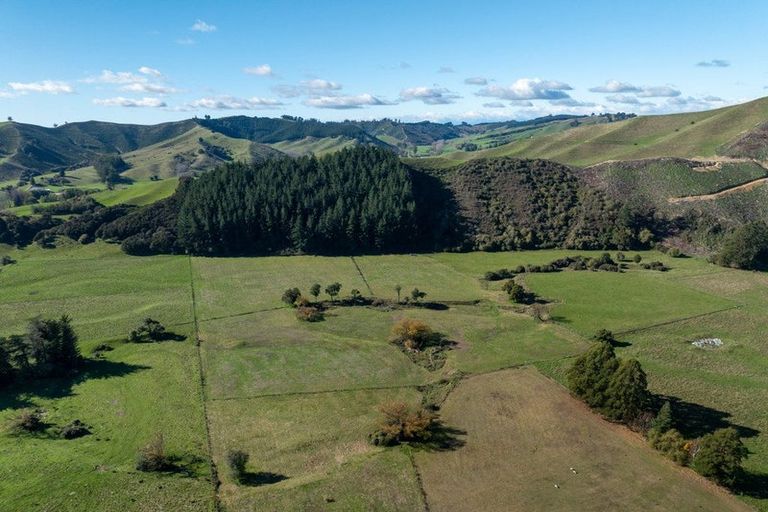 Photo of property in 924 Dovedale Road, Dovedale, Wakefield, 7096