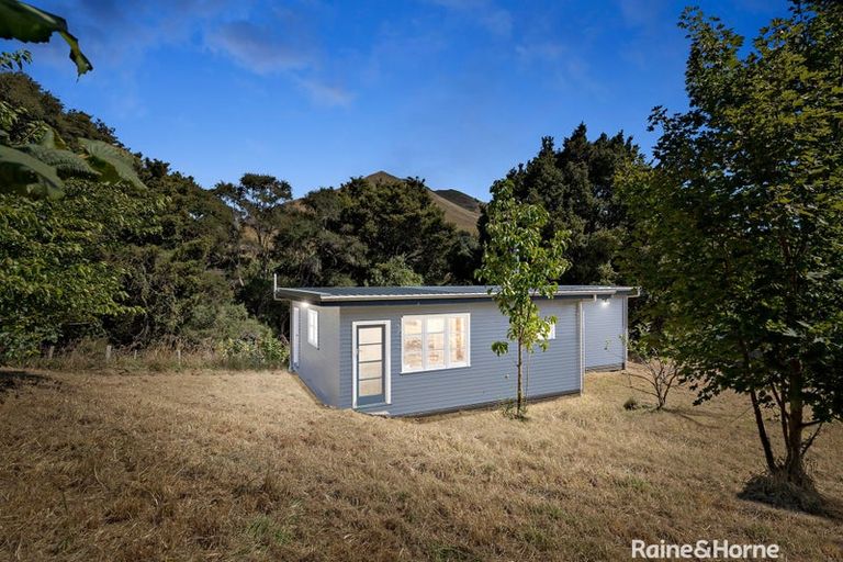 Photo of property in 371 Longbush Road, Hinakura, Masterton, 5884