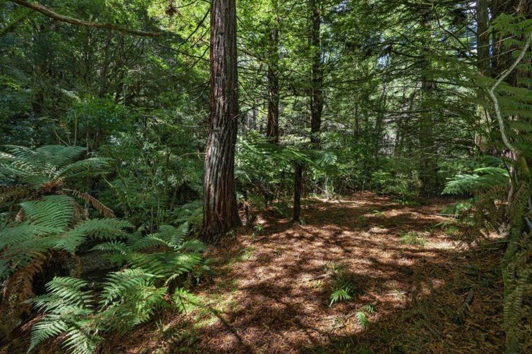 Photo of property in 944 Old Mountain Road, Waitetuna, Raglan, 3295