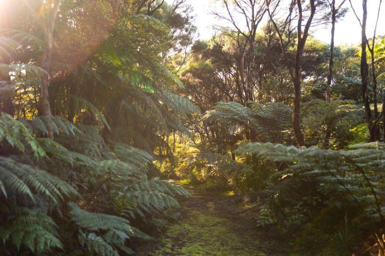 Photo of property in 886 Purerua Road, Te Ti Mangonui, Kerikeri, 0294
