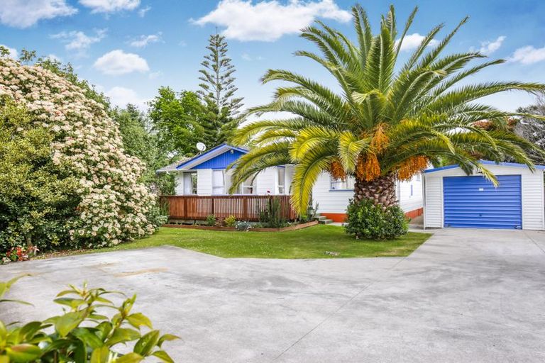 Photo of property in 16 Hinerau Street, Henderson, Auckland, 0612