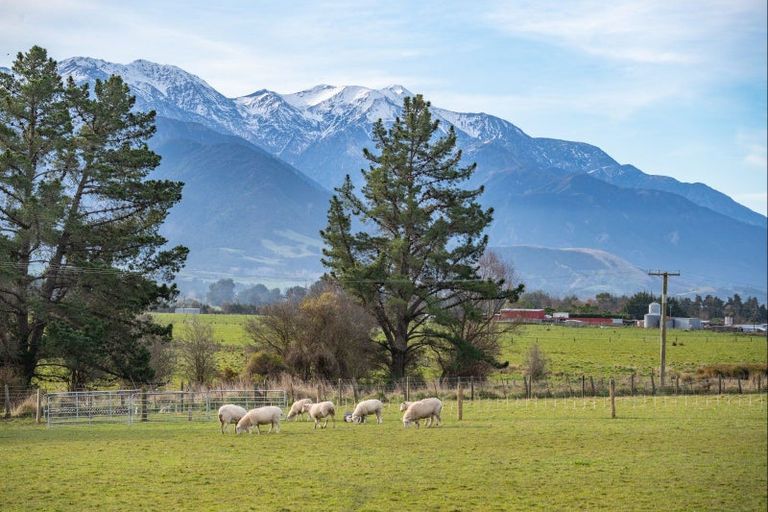 Photo of property in 87 Green Lane, Kaikoura Flat, Kaikoura, 7371