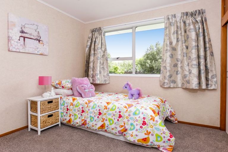 Photo of property in 16 Hinerau Street, Henderson, Auckland, 0612