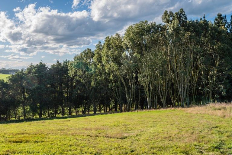 Photo of property in 38 Daniels Road, Normanby, Timaru, 7971