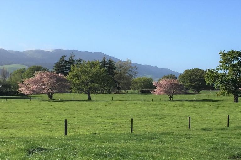 Photo of property in 72 Harding Road, Turangaomoana, Matamata, 3471