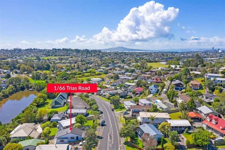 Photo of property in 1/66 Trias Road, Totara Vale, Auckland, 0629