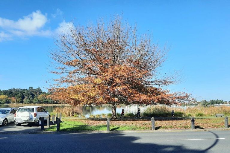 Photo of property in 41a Lake Domain Drive, Frankton, Hamilton, 3204