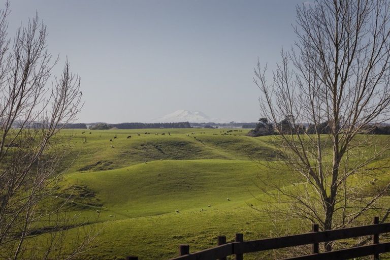 Photo of property in 268 Halcombe Road, Feilding, 4775