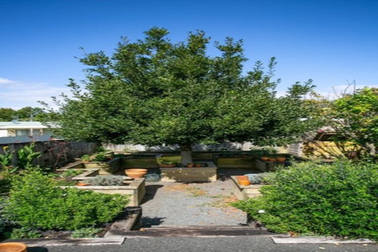 Photo of property in 44 Campbell Street, Leamington, Cambridge, 3432