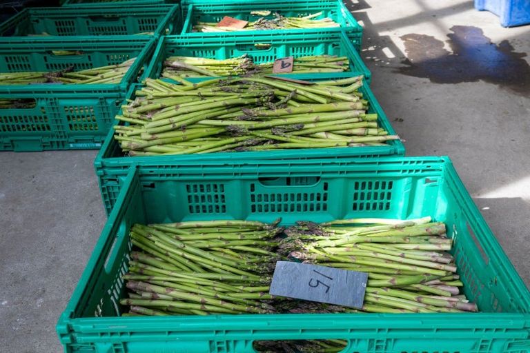 Photo of property in 1905 Christchurch Akaroa Road, Gebbies Valley, Christchurch, 7672