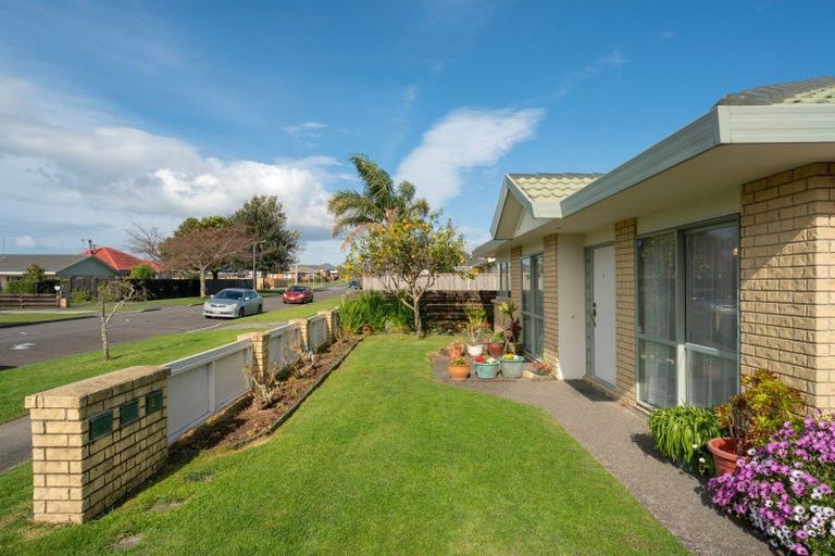 Photo of property in 18a Emmett Street, Greerton, Tauranga, 3112