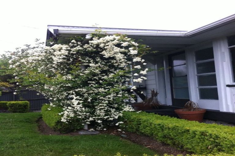 Photo of property in 29 Hanmer Street, Linwood, Christchurch, 8011