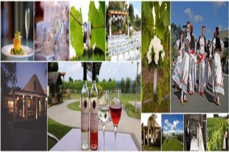 Photo of property in 728 Peak Road, Helensville, 0875