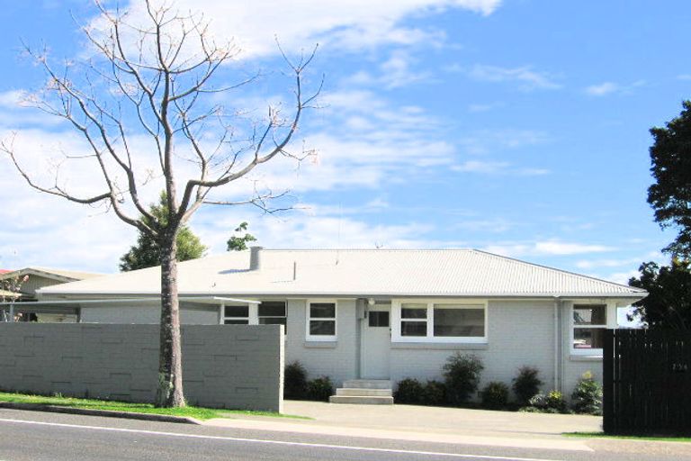 Photo of property in 256 Maungatapu Road, Maungatapu, Tauranga, 3112