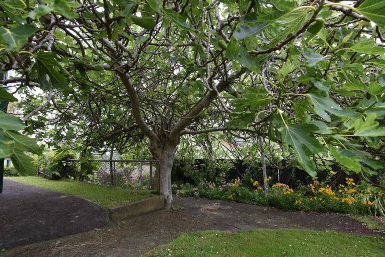 Photo of property in 127a Grafton Road, Thames, 3500