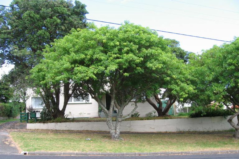 Photo of property in 113 Gardner Avenue, New Lynn, Auckland, 0600
