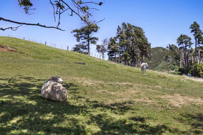 Photo of property in 543 Mataro Road, Onaero, Urenui, 4375