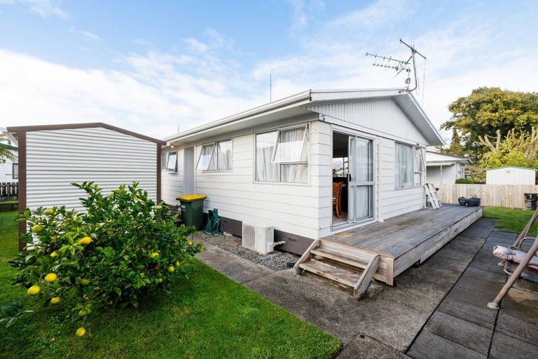 Photo of property in 384a Kahikatea Drive, Dinsdale, Hamilton, 3204