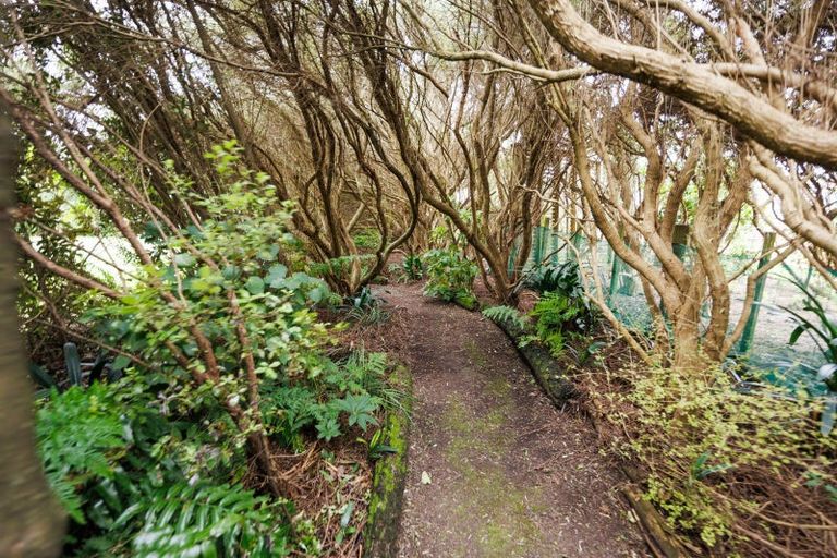 Photo of property in 16 Sika Avenue, Feilding, 4775