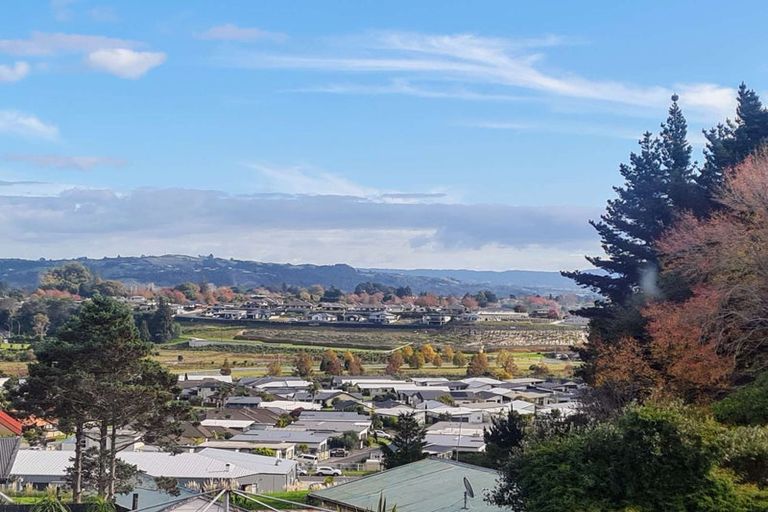 Photo of property in 8 The Drive, Brookfield, Tauranga, 3110