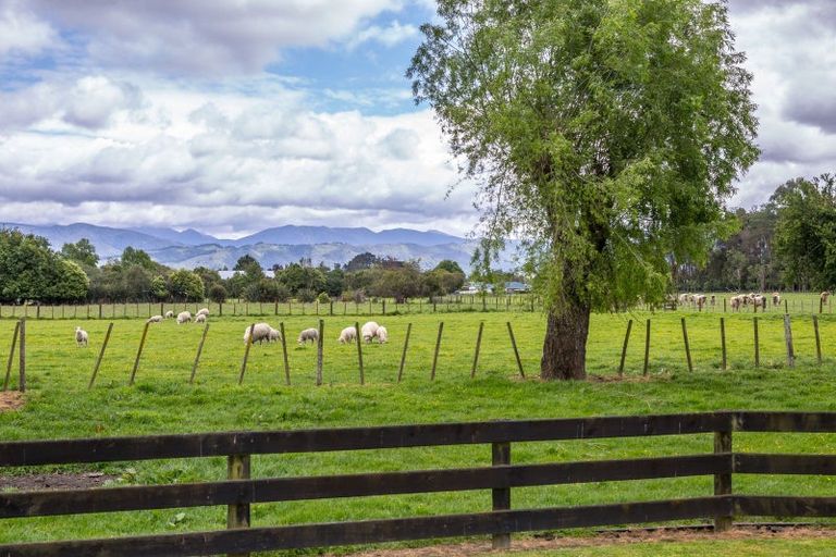 Photo of property in 2/53 Jellicoe Street, Greytown, 5712