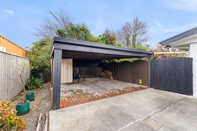 Photo of property in 50 Windsor Street, Terrace End, Palmerston North, 4410
