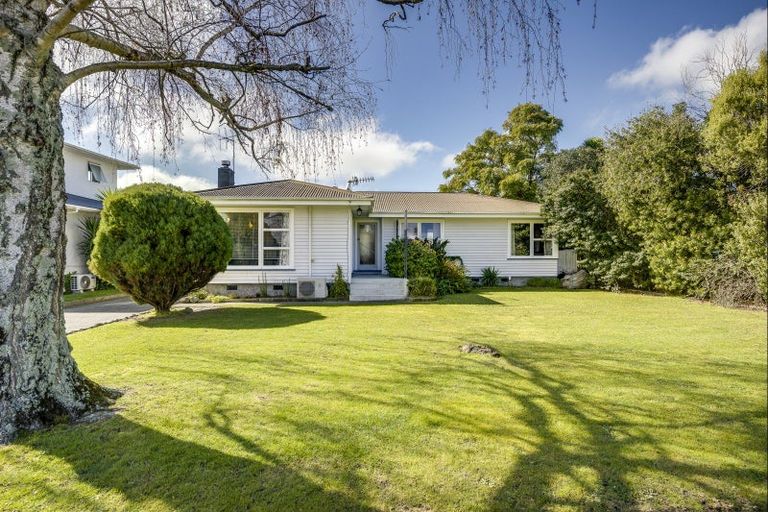 Photo of property in 17 Downing Avenue, Pirimai, Napier, 4112
