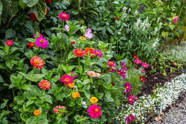 Photo of property in 188 Main Street, Greytown, 5712