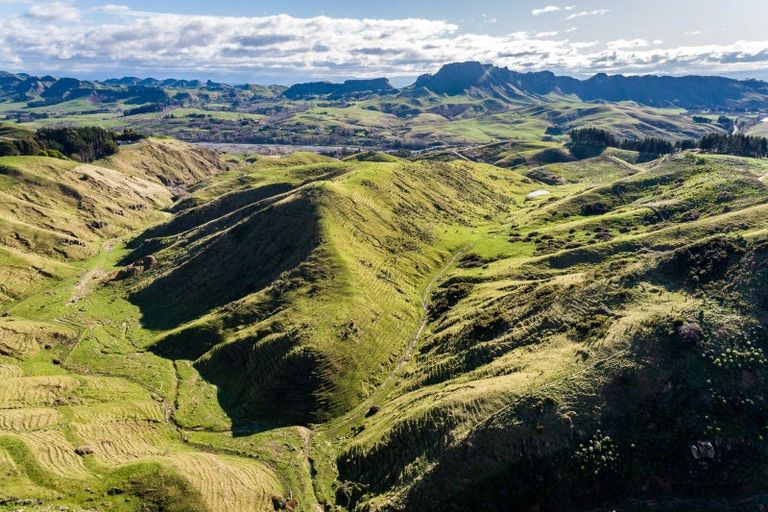 Photo of property in 599 Waimarama Road, Tuki Tuki, 4294