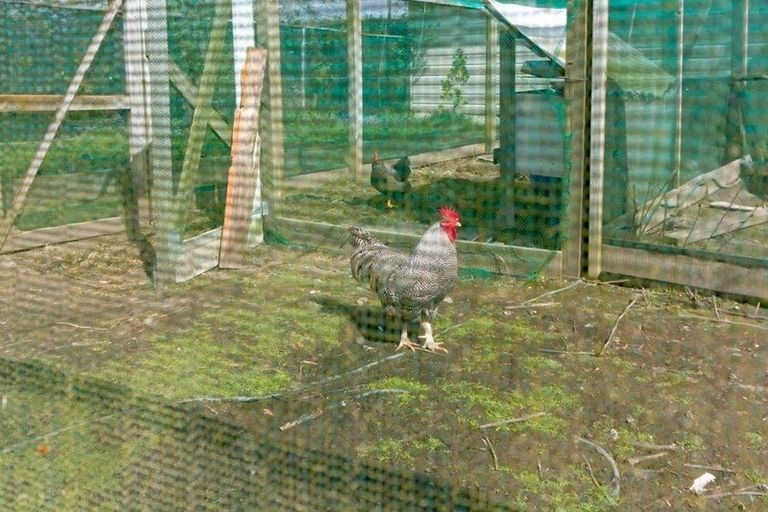 Photo of property in 832 State Highway 3, Marton, 4789